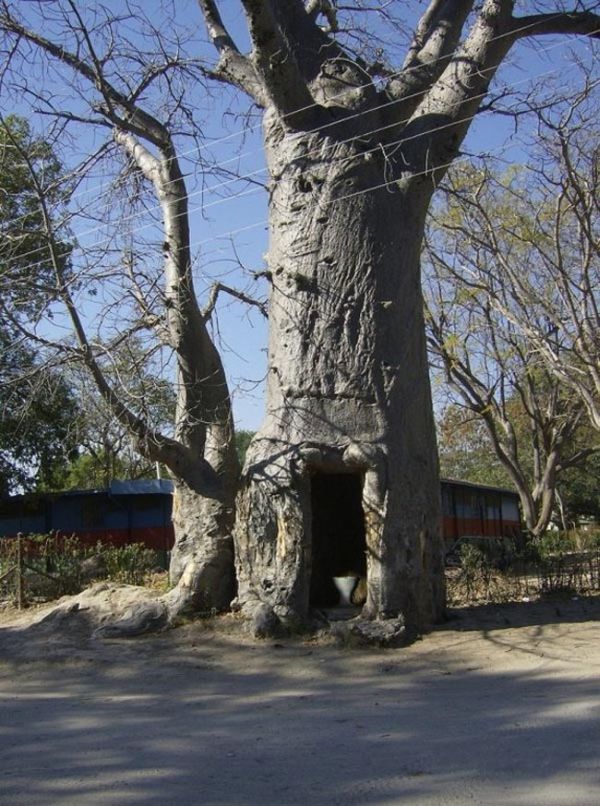      (4 )