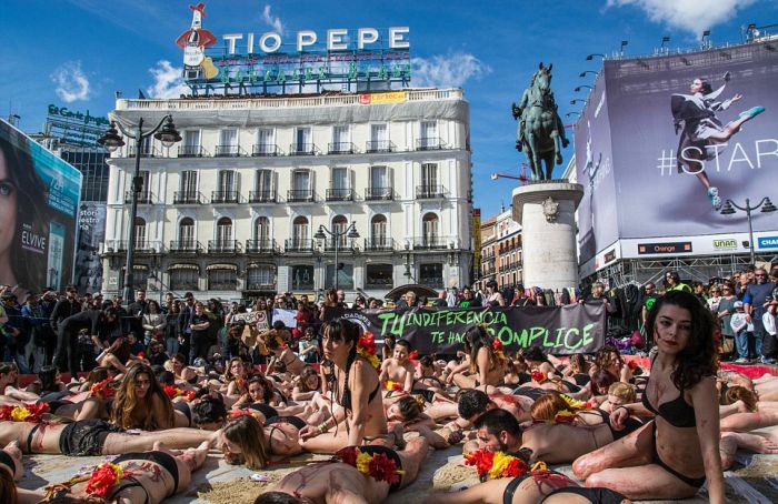 В Мадриде устроили акцию протеста против корриды (11 фото) В Мадриде устроили акцию протеста против корриды (11 фото)