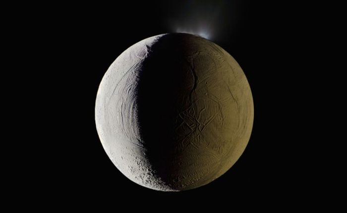    (11 )