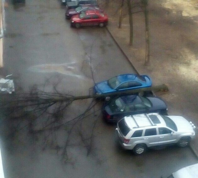 Везучие автомобилисты (2 фото) Везучие автомобилисты (2 фото)