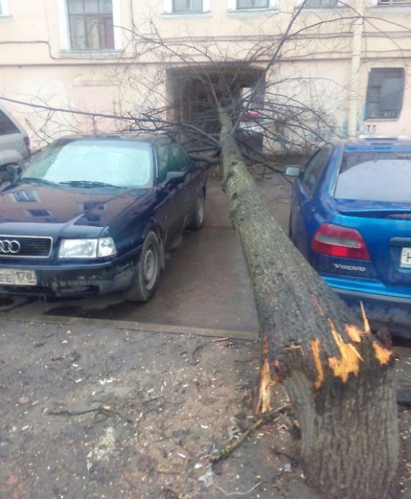 Везучие автомобилисты (2 фото) Везучие автомобилисты (2 фото)