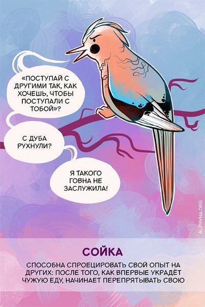  ,      (10 )