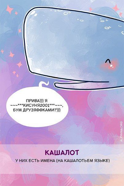  ,      (10 )
