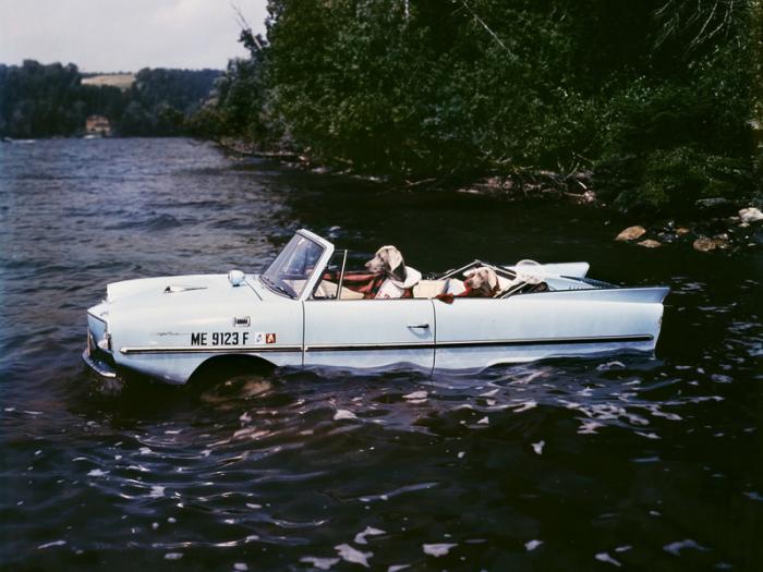   Amphicar (14  + 2 )