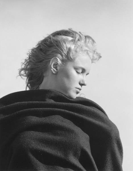    (19 )