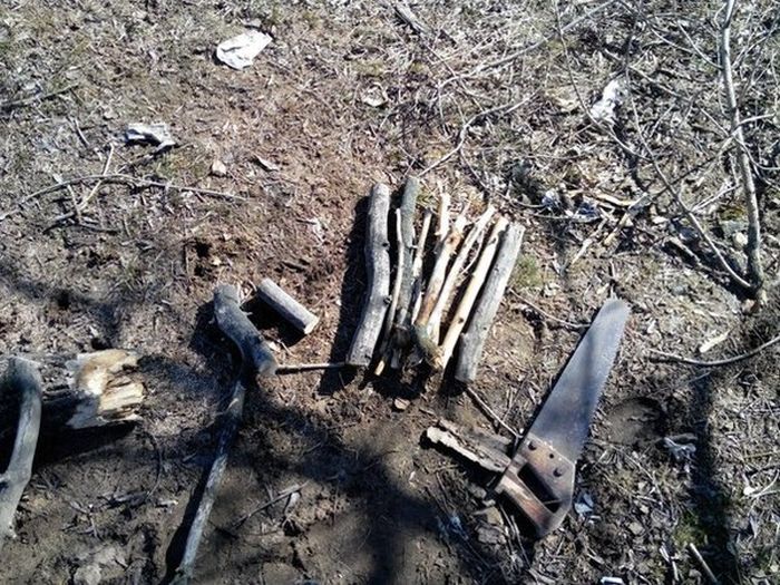 Акваскейп «Сосновый бор» своими руками (8 фото) Акваскейп «Сосновый бор» своими руками (8 фото)