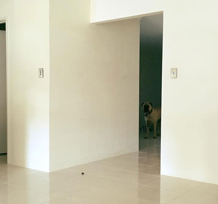       ,      (15 