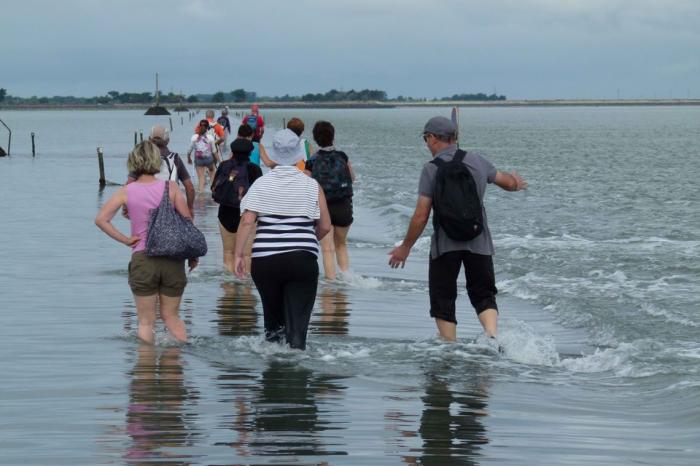 Удивительная дорога, дважды в сутки уходящая под воду (8 фото) Удивительная дорога, дважды в сутки уходящая под воду (8 фото)