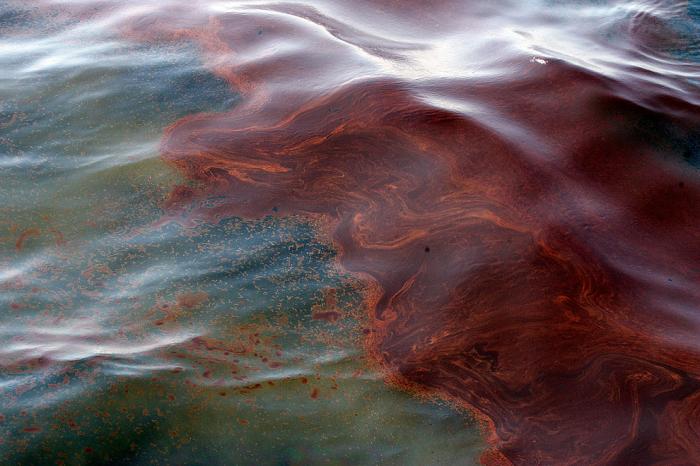 Разлив нефти в Мексиканском заливе (37 фото) Разлив нефти в Мексиканском заливе (37 фото)