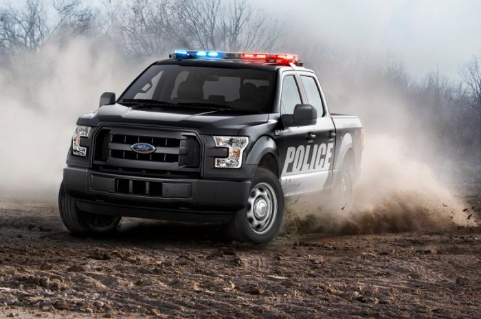    Ford F-150 (6 )