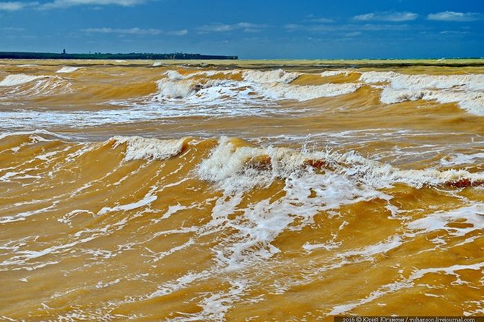 В Крыму воды Черного моря окрасились в желтый цвет (3 фото) В Крыму воды Черного моря окрасились в желтый цвет (3 фото)