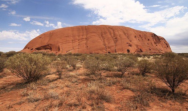 Ужасные и в то же время прекрасные пауки (25 фото) Ужасные и в то же время прекрасные пауки (25 фото)