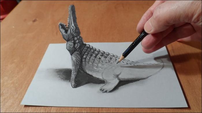  3D-  (30 )