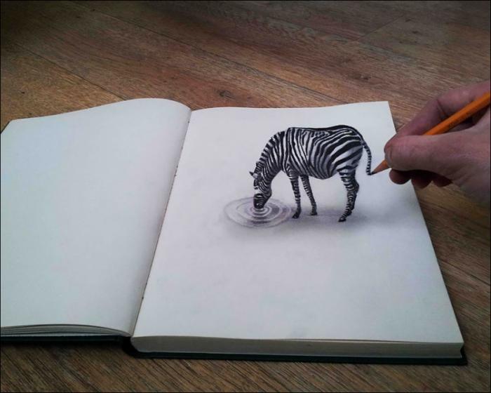  3D-  (30 )