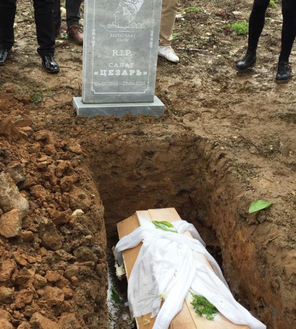 В Сочи устроили шикарные похороны салату «Цезарь» (6 фото) В Сочи устроили шикарные похороны салату «Цезарь» (6 фото)