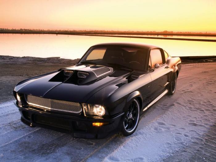  Ford Mustang Obsidian    (34 )