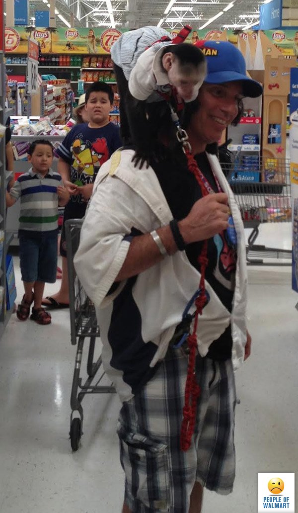   Walmart (32 )
