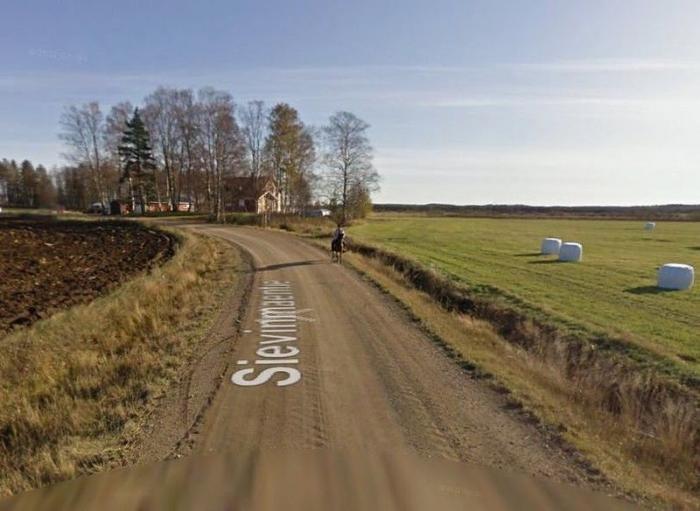 Трусливая лошадь повстречалась с автомобилем Google (5 фото) Трусливая лошадь повстречалась с автомобилем Google (5 фото)