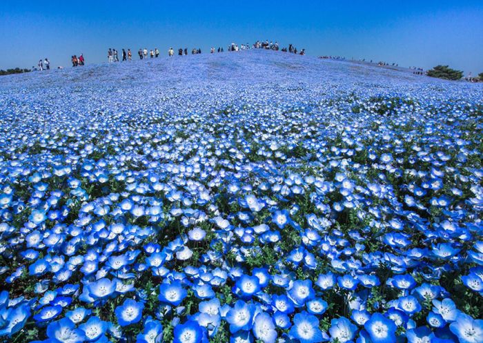    National Geographic Traveler Photo Contest (34 )