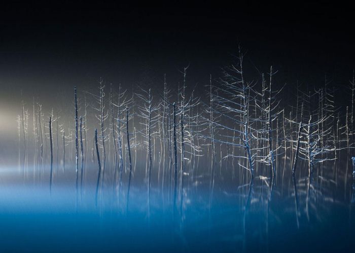    National Geographic Traveler Photo Contest (34 )
