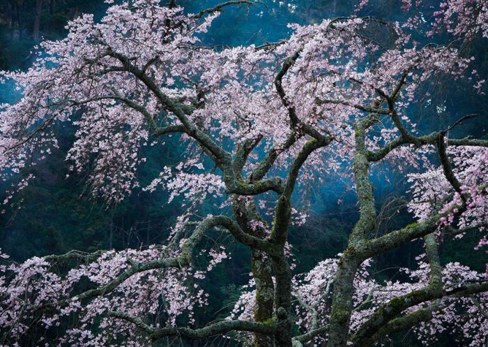    National Geographic Traveler Photo Contest (34 )