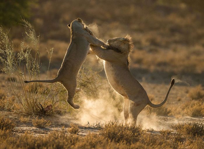    National Geographic Traveler Photo Contest (34 )
