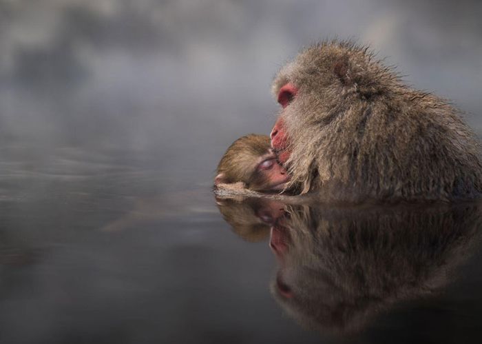    National Geographic Traveler Photo Contest (34 )