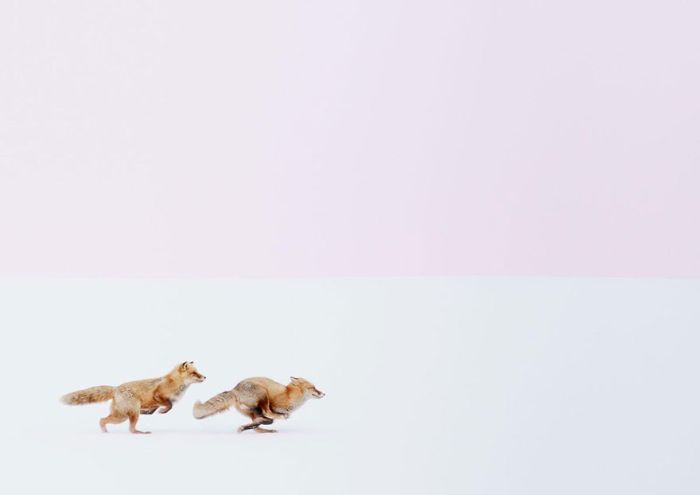    National Geographic Traveler Photo Contest (34 )