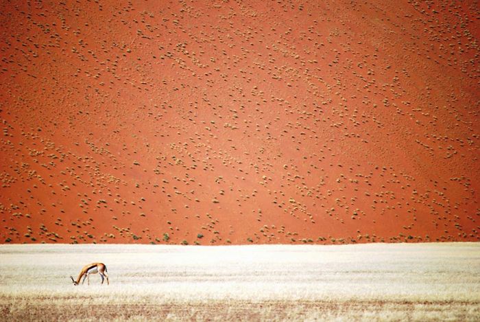    National Geographic Traveler Photo Contest (34 )