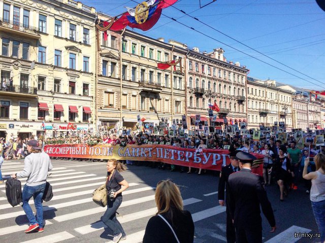   2016 (11 )