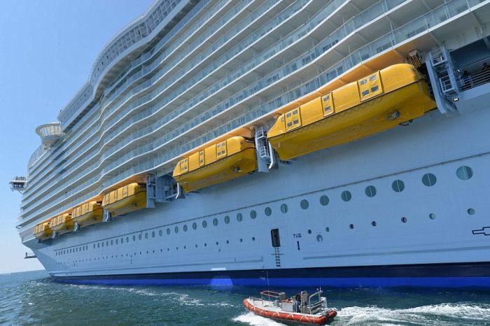        Harmony of the Seas (15 )