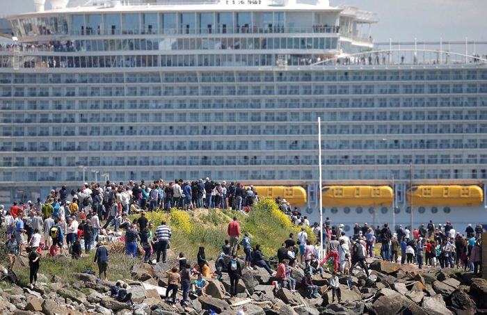        Harmony of the Seas (15 )