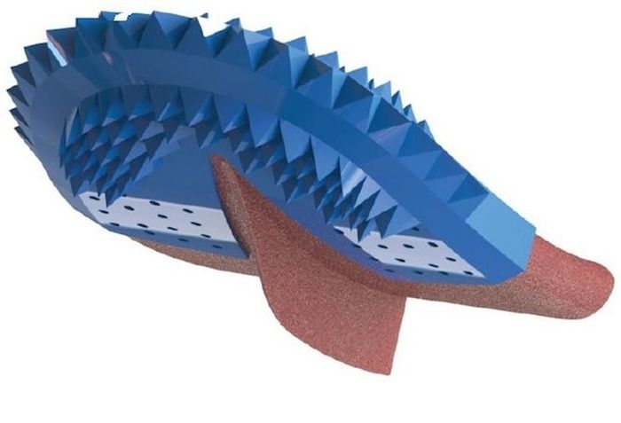    (4 )