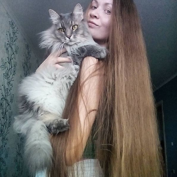     (17 )