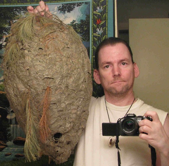   (7 )