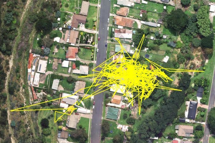 GPS-передатчик показал передвижения кошки в течение одного дня (3 фото) GPS-передатчик показал передвижения кошки в течение одного дня (3 фото)