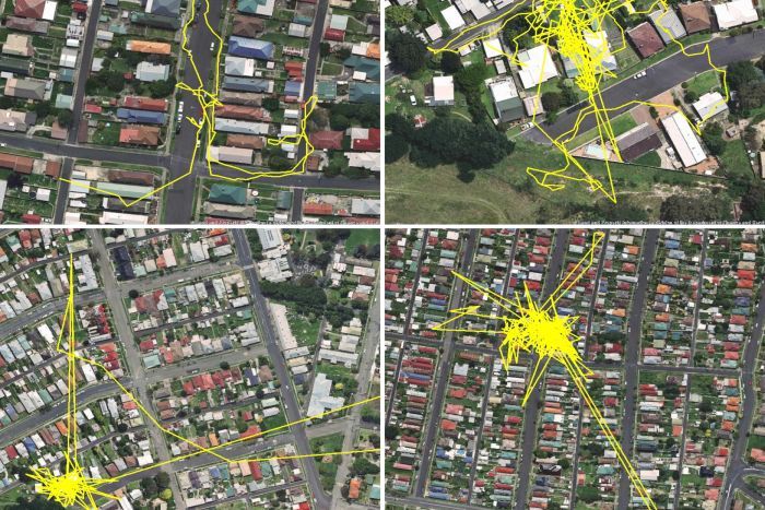 GPS-        (3 )
