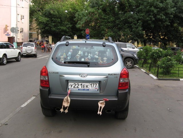      (2 )