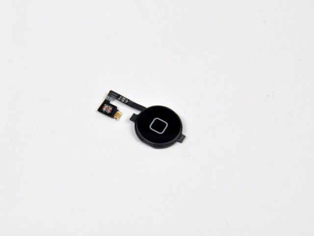   iPhone 4 (31 )