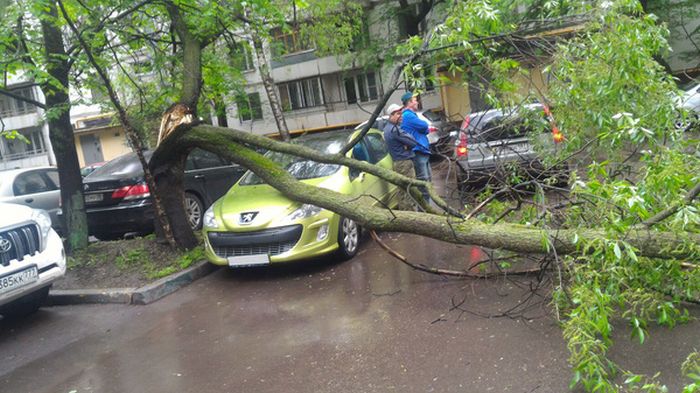 Вот, что значит настоящее везение (3 фото) Вот, что значит настоящее везение (3 фото)