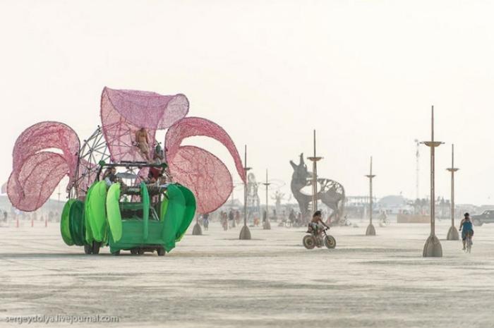     Burning Man (37 )