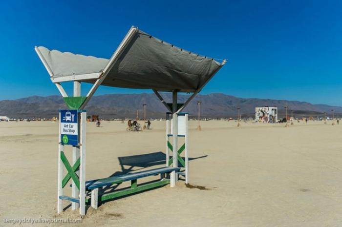     Burning Man (37 )