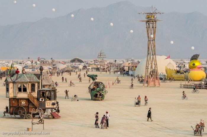     Burning Man (37 )