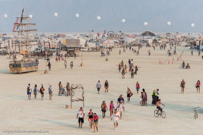     Burning Man (37 )