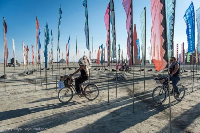     Burning Man (37 )