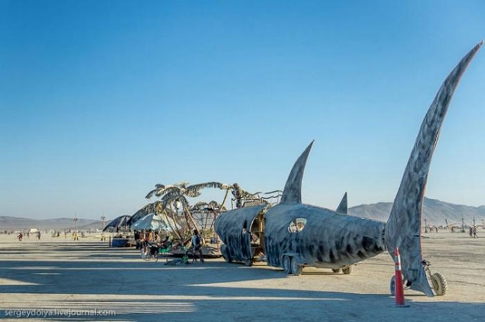     Burning Man (37 )
