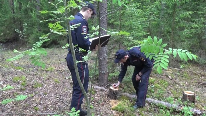 Самодельная землянка на случай апокалипсиса (6 фото) Самодельная землянка на случай апокалипсиса (6 фото)