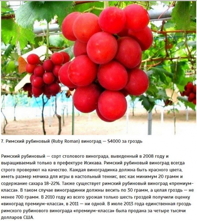 Самые дорогие продукты питания в Японии (11 фото) Самые дорогие продукты питания в Японии (11 фото)