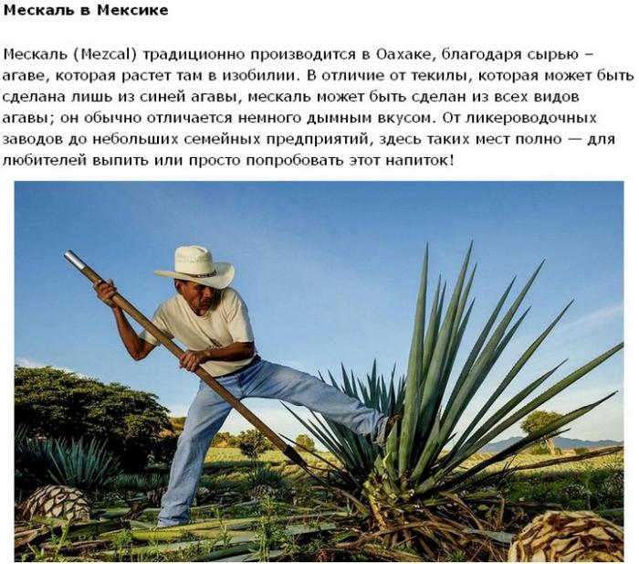 Путешествие для любителей экзотического алкоголя (20 фото) Путешествие для любителей экзотического алкоголя (20 фото)