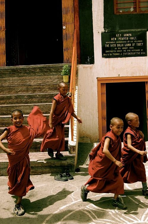     (Key Gompa),  (30 )